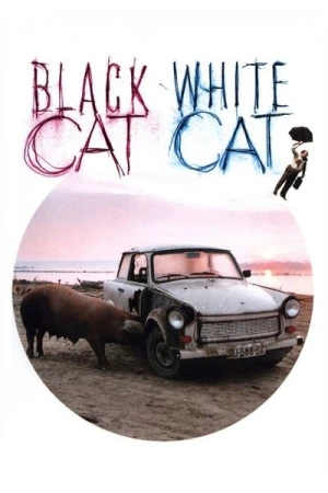 Regarder Chat noir, chat blanc en streaming complet