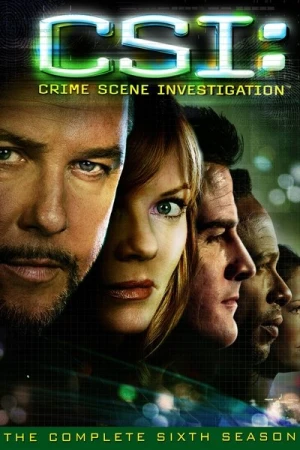  Les Experts - Saison 6 affiche 