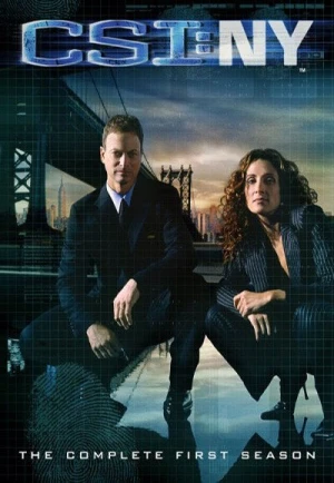  Les Experts : Manhattan - Saison 1 affiche 