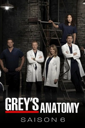 Regarder Grey's Anatomy - Saison 6 en streaming complet