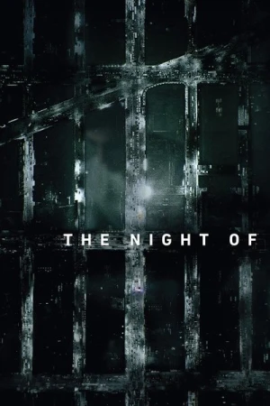 Regarder The Night Of - Saison 1 en streaming complet