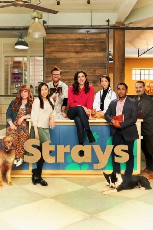 Regarder Strays - Saison 1 en streaming complet