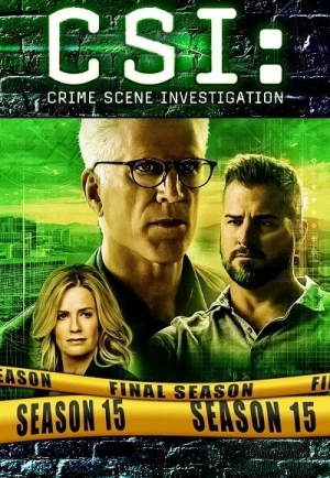  Les Experts - Saison 15 affiche 