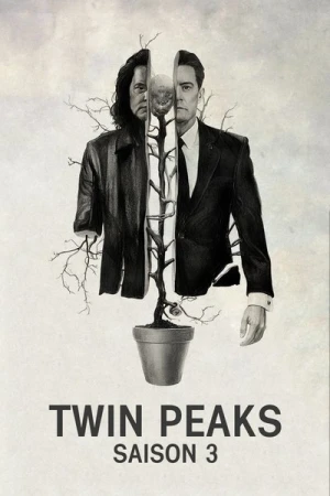 Regarder Twin Peaks - Saison 3 en streaming complet