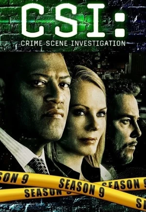  Les Experts - Saison 9 affiche 