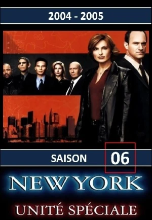  New York Unité Spéciale - Saison 6 affiche 