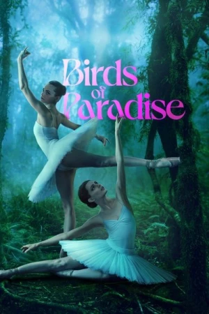 Regarder Birds of Paradise en streaming complet