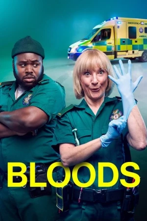 Regarder Bloods - Saison 2 en streaming complet