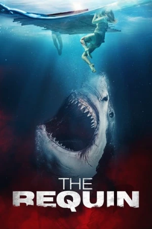 Regarder The Requin en streaming complet