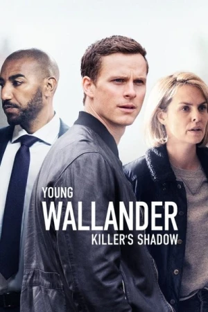 Regarder Le Jeune Wallander - Saison 2 en streaming complet
