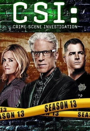  Les Experts - Saison 13 affiche 