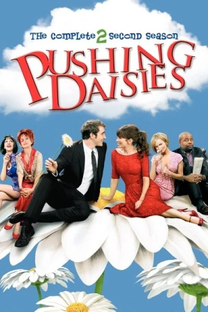  Pushing Daisies - Saison 2 affiche 