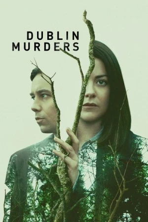 Regarder Dublin Murders - Saison 1 en streaming complet