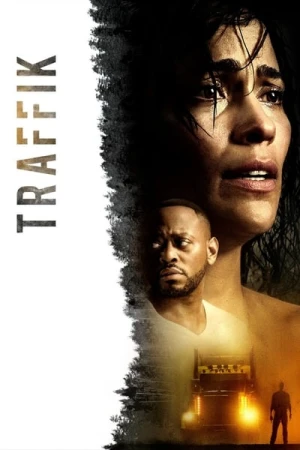Regarder Traffik en streaming complet