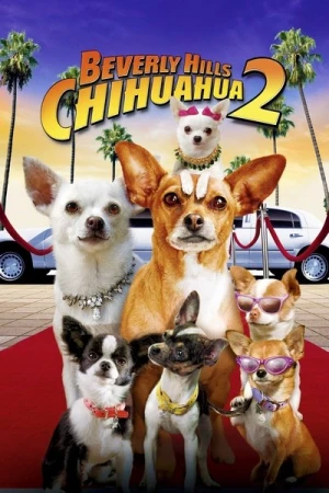 Regarder Le Chihuahua de Beverly Hills 2 en streaming complet