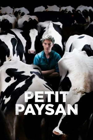Regarder Petit Paysan en streaming complet
