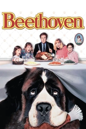 Regarder Beethoven en streaming complet
