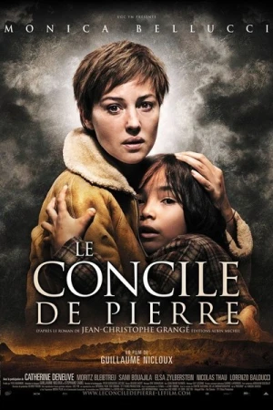 Regarder The Stone Council en streaming complet