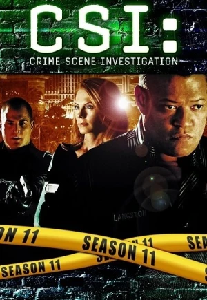  Les Experts - Saison 11 affiche 