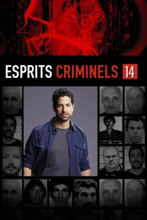 Regarder Esprits criminels - Saison 14 en streaming complet