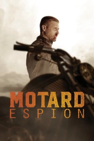 Regarder Gangland Undercover - Saison 2 en streaming complet