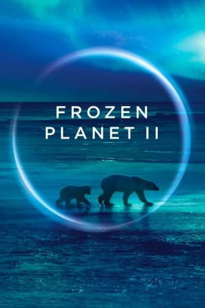  Frozen Planet II - Saison 1 affiche 