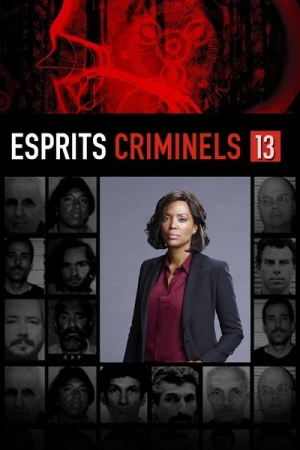 Regarder Esprits criminels - Saison 13 en streaming complet