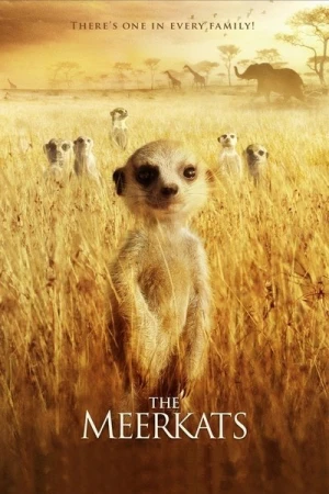 Regarder La Famille Suricate en streaming complet