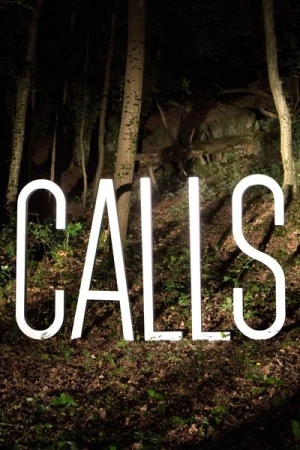  Calls - Saison 2 affiche 
