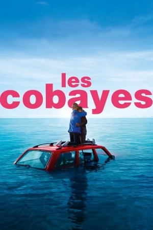 Regarder Les Cobayes en streaming complet