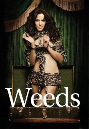  Weeds - Saison 7 affiche 