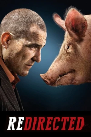  Redirected affiche 