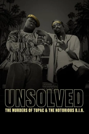 Regarder Unsolved : Classé sans suite - Saison 1 en streaming complet