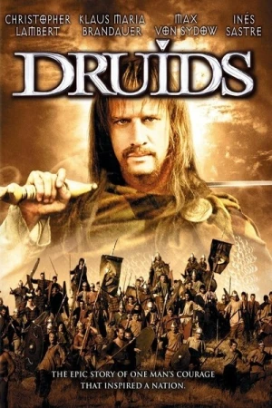  Vercingétorix : La Légende du druide roi affiche 