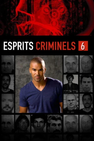 Regarder Esprits criminels - Saison 6 en streaming complet