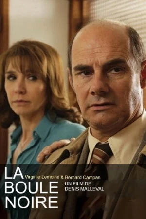 Regarder La boule noire en streaming complet