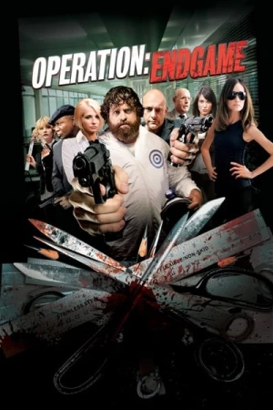 Regarder Operation : Endgame en streaming complet