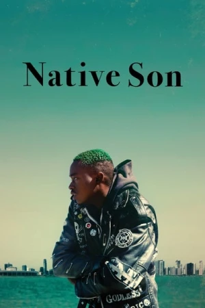 Regarder Le Fils Du Pays en streaming complet