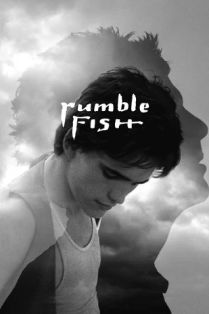 Regarder Rusty James en streaming complet