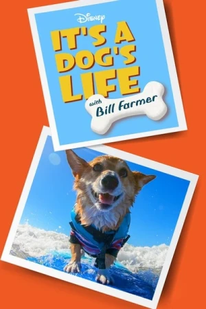 Regarder Héros fidèles avec Bill Farmer - Saison 1 en streaming complet