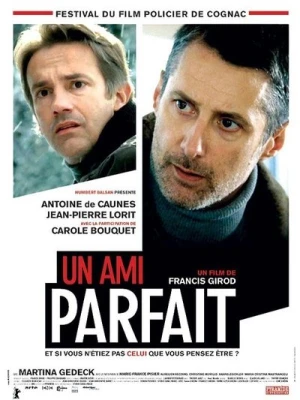 Regarder Un ami parfait en streaming complet