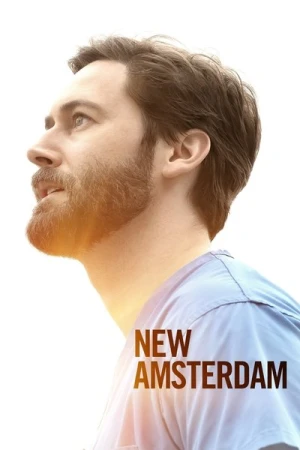 Regarder New Amsterdam - Saison 3 en streaming complet