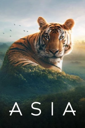  L'Asie - Saison 1 affiche 