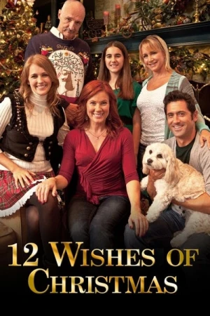 Regarder Les Douze voeux de Noël (TV) en streaming complet