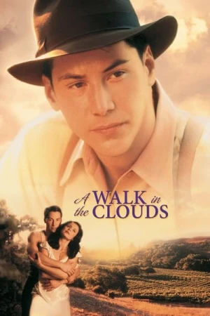 Regarder Les vendanges de feu en streaming complet