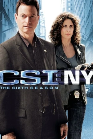  Les Experts : Manhattan - Saison 6 affiche 