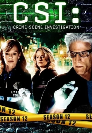  Les Experts - Saison 12 affiche 